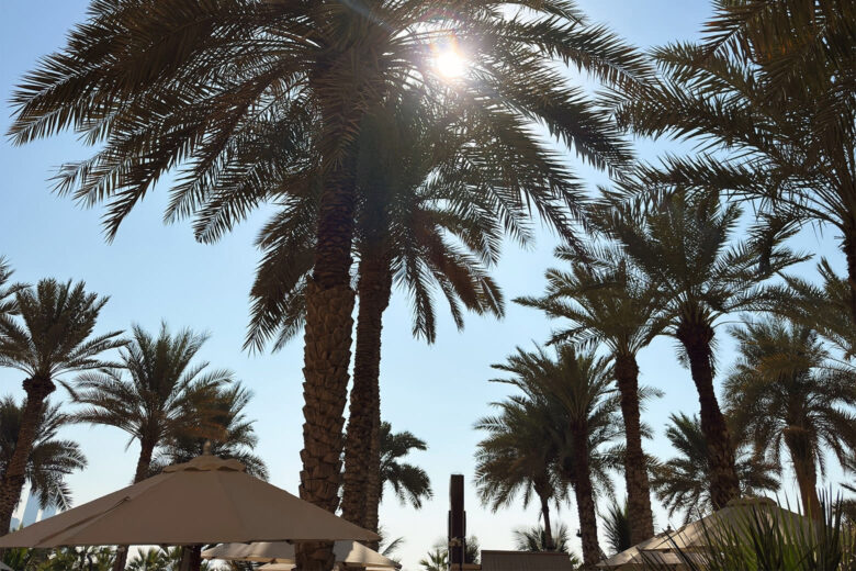 serenity spa fairmont the palm review dubai views luxe digital